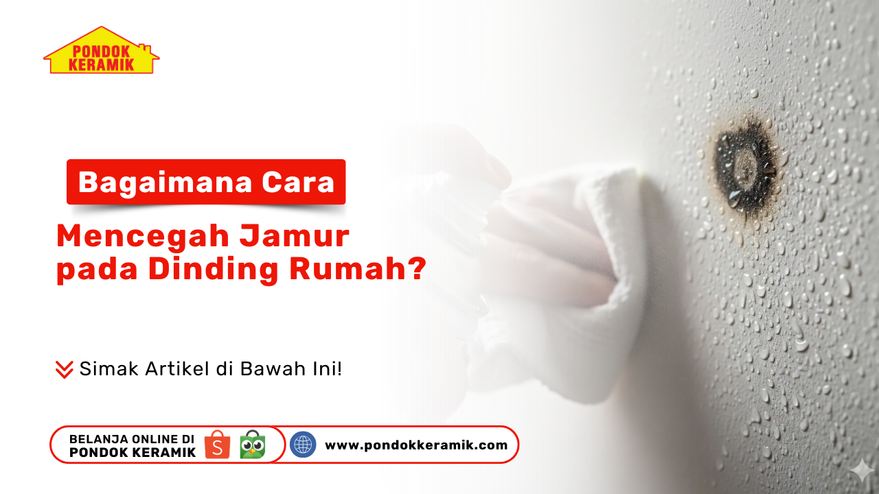 Bagaimana Cara Mencegah Jamur pada Dinding Rumah?