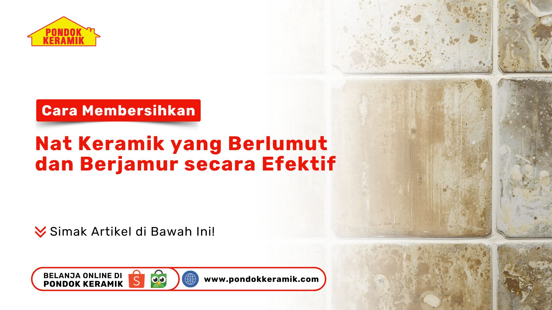 Cara Membersihkan Nat Keramik yang Berlumut dan Berjamur secara Efektif