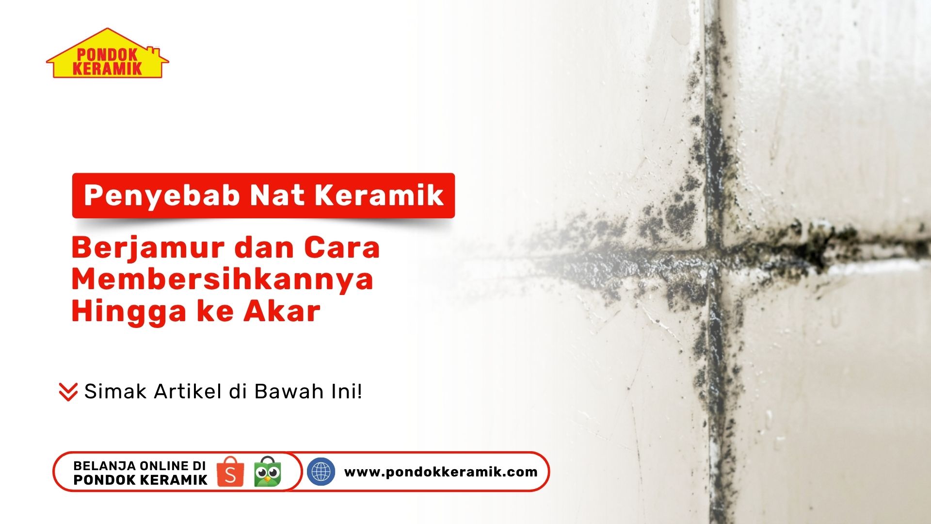 Penyebab Nat Keramik Berjamur dan Cara Membersihkannya Hingga ke Akar